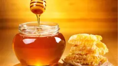 Erzincan Organik Süzme Bal 1 Kg