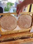 Erzincan  Karakovan Petek Balı