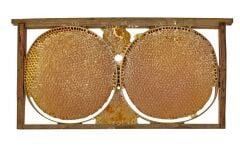 Erzincan Organik Karakovan Petek Bal 1 KĞ