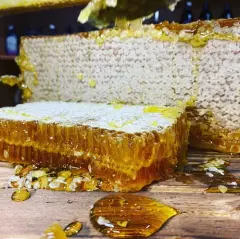 Erzincan Organik  Petek Bal 1 kg