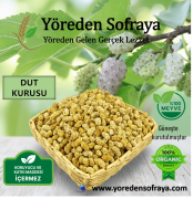Erzincan Dut Kurusu