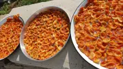 Kayısı Kurusu (Tatlı)