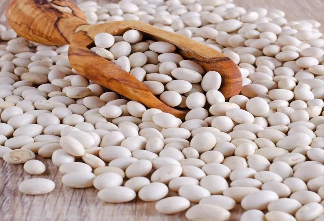 Erzincan Şeker Fasulye